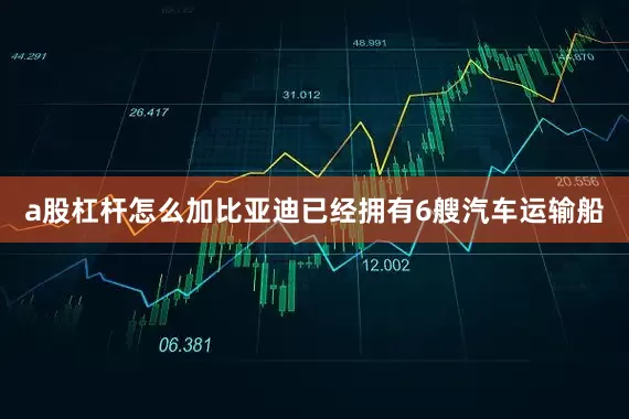 a股杠杆怎么加比亚迪已经拥有6艘汽车运输船