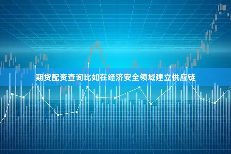 期货配资查询比如在经济安全领域建立供应链